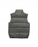 VESTS-DSQUARED2