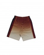 SHORTS-DRIES VAN NOTEN